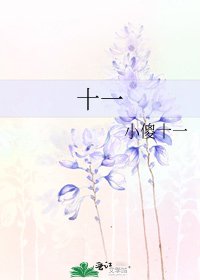 十一